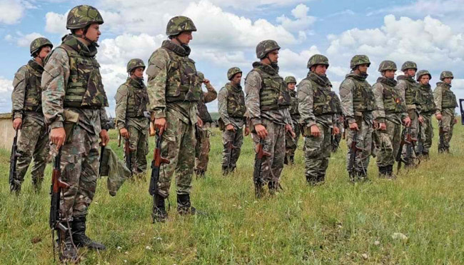 soldati voluntari angajare armata